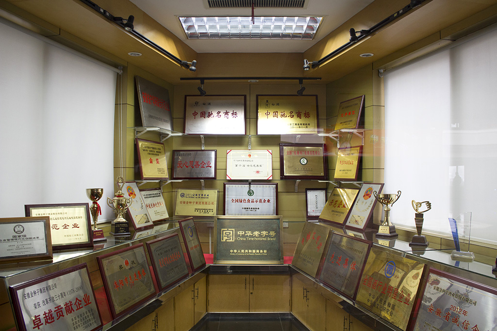 參觀“安徽金種子酒業”