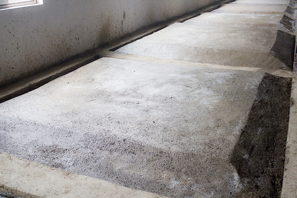 參觀“安徽金種子酒業”