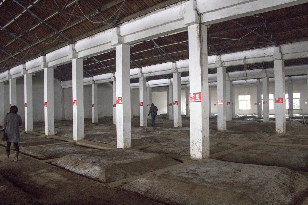 參觀“安徽金種子酒業”