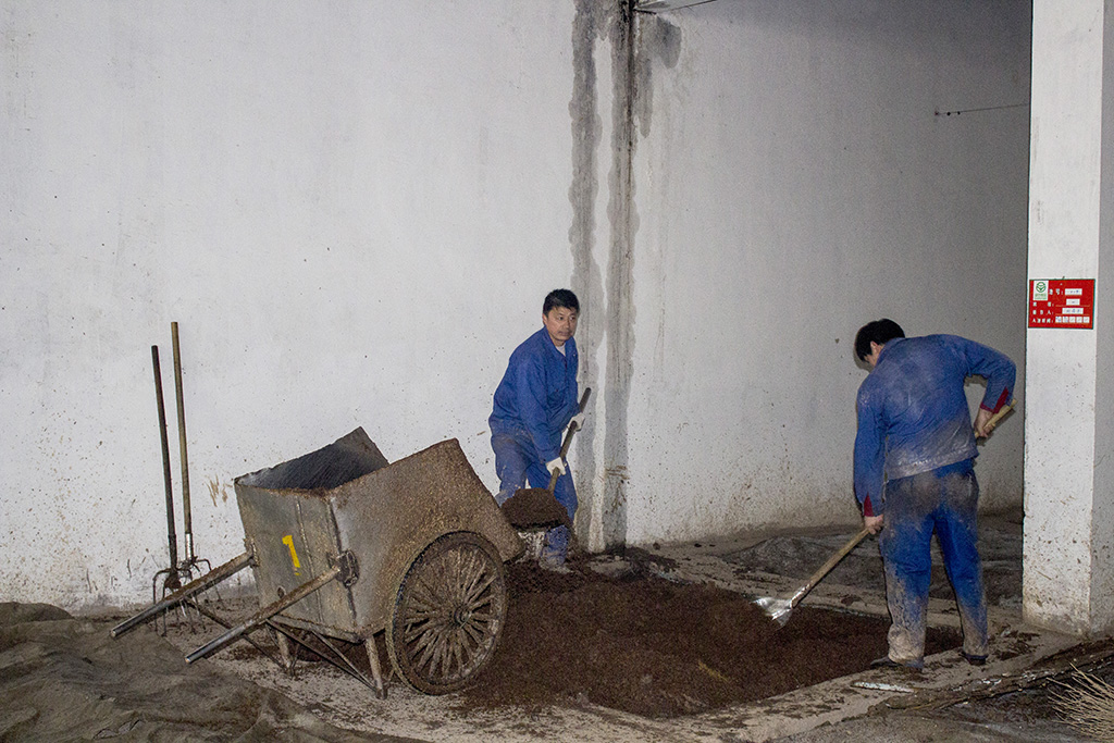 參觀“安徽金種子酒業”