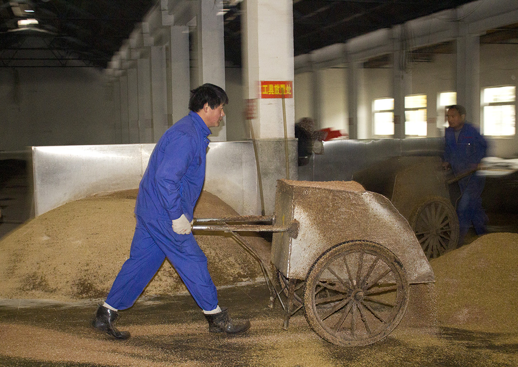 參觀“安徽金種子酒業”