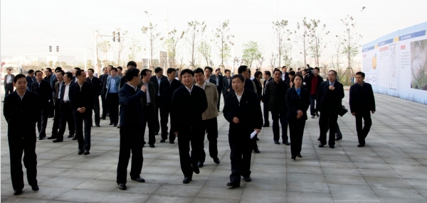 市主要領導考查江淮云產業平臺