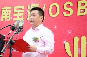 淮南寶源（OSB）無醛精木板開業