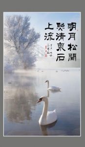 春暖鵝先知