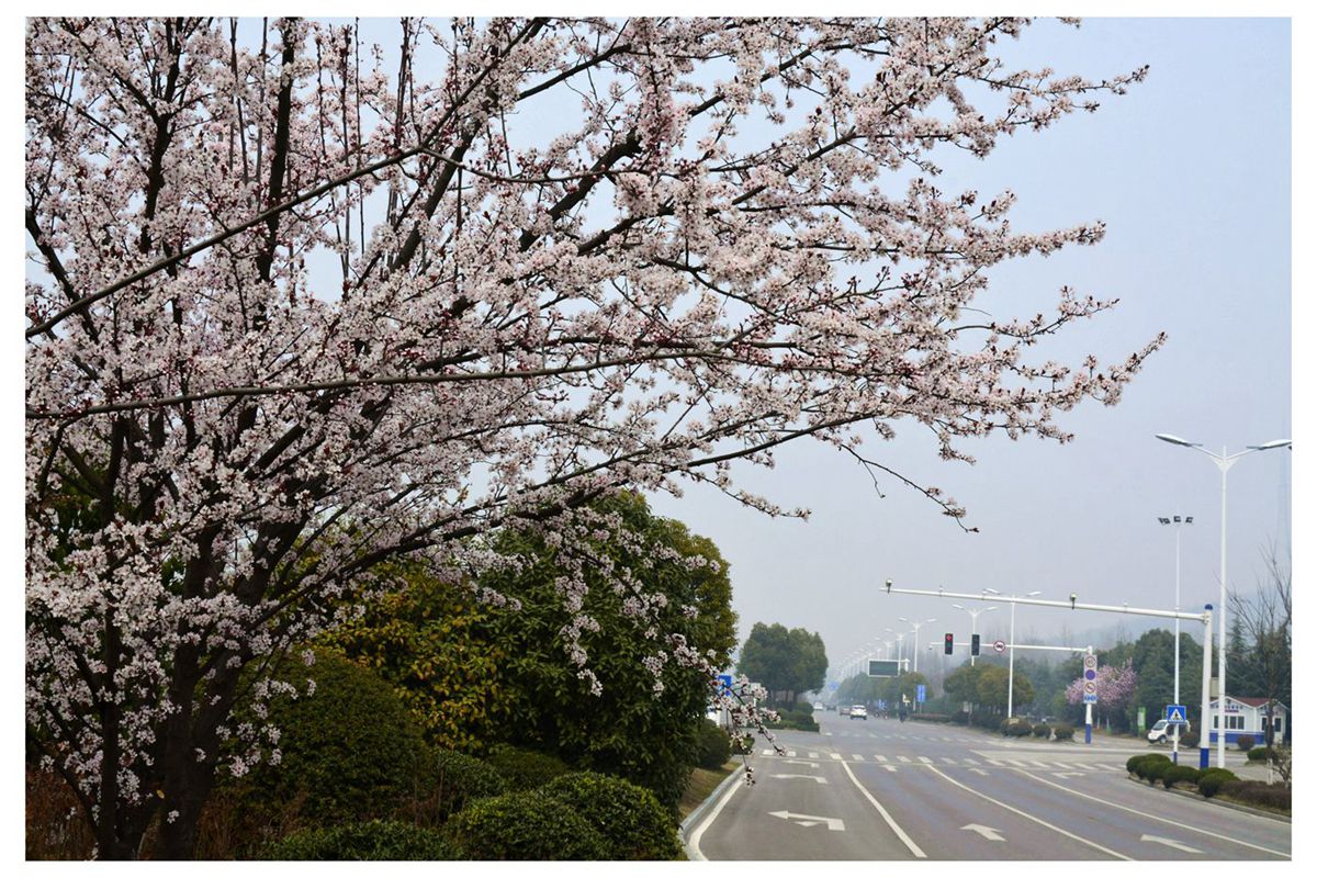 園林城市——淮南