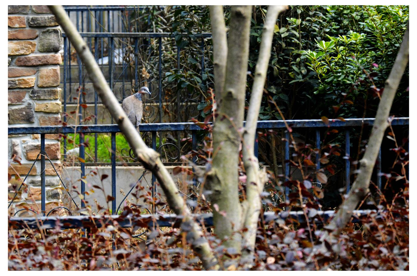 園林城市——淮南