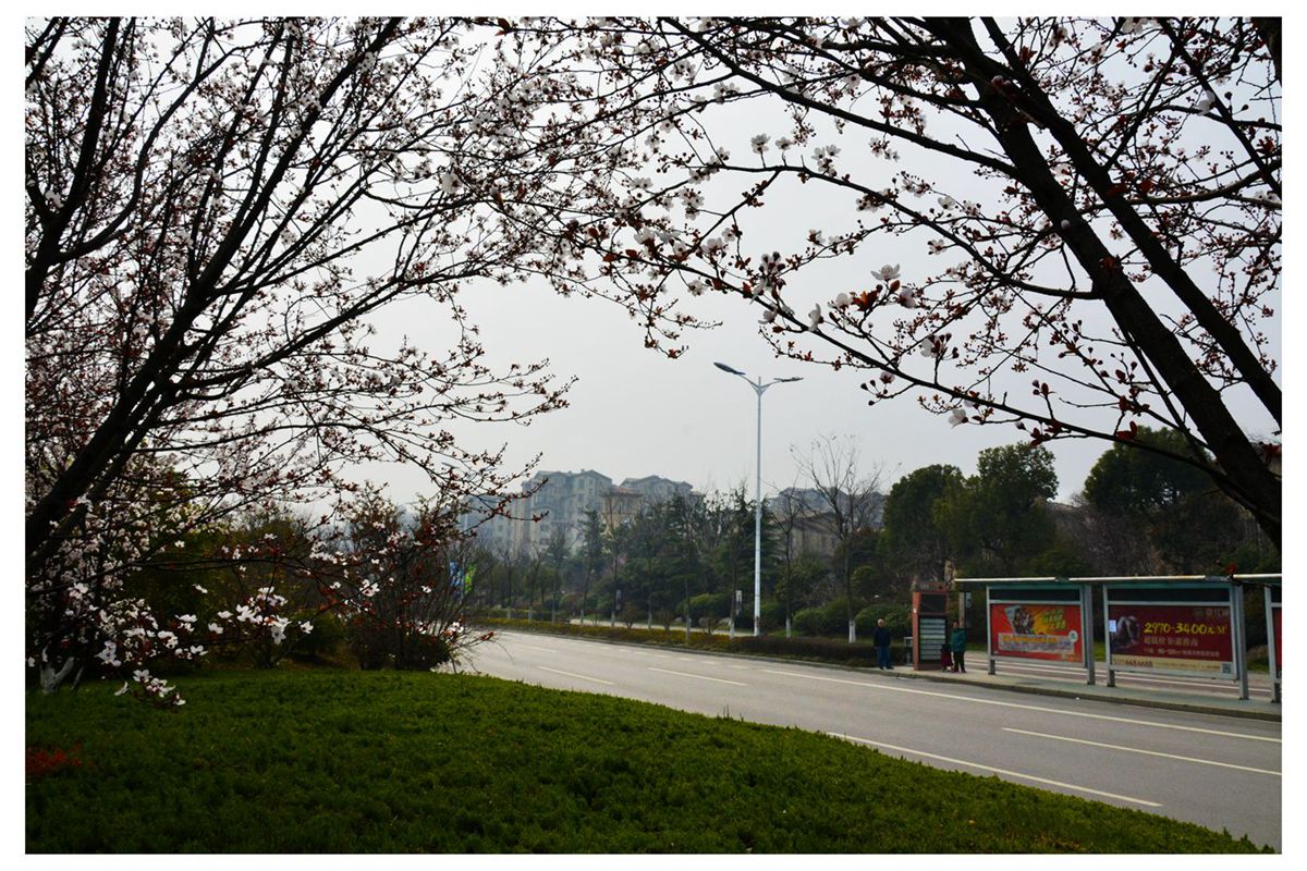 園林城市——淮南