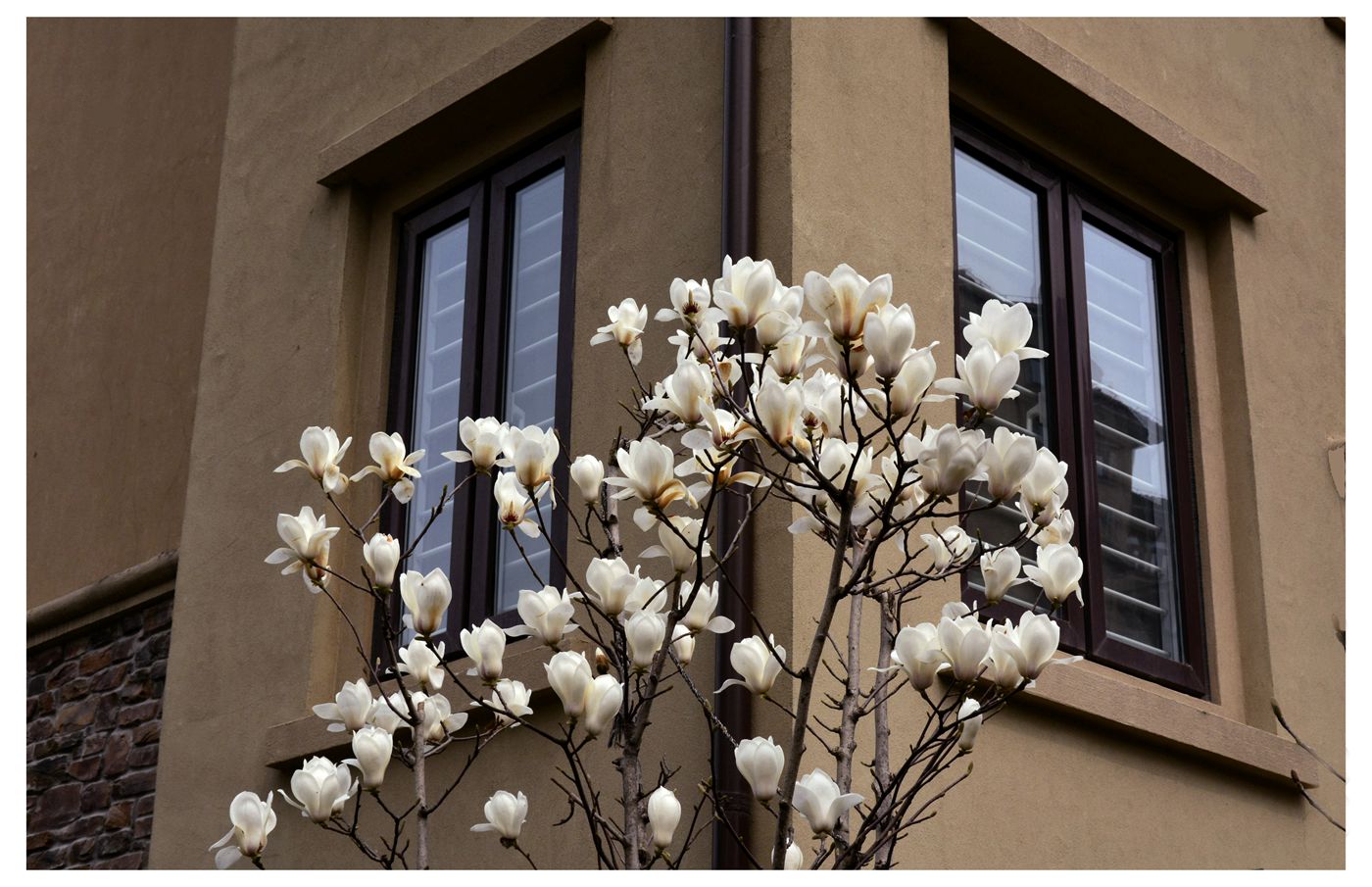 園林城市——淮南