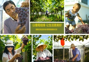 以葡萄結緣 讓生活更美好