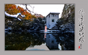 風(fēng)景這邊獨好