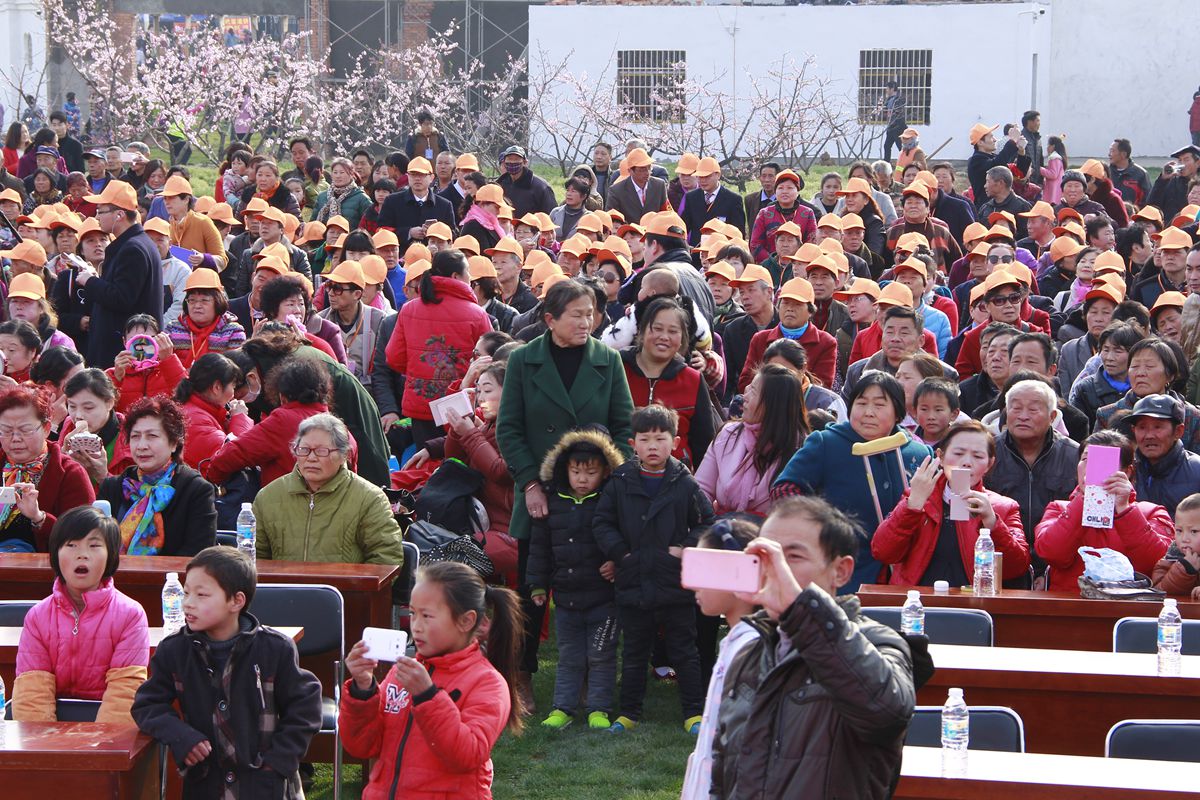 第十界中國淮南桃花,草莓節(jié)。大型活動在曹俺鎮(zhèn)隆重開幕
