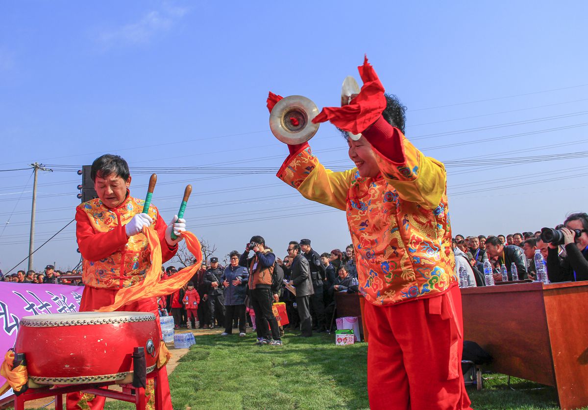 第十界中國淮南桃花,草莓節(jié)。大型活動在曹俺鎮(zhèn)隆重開幕