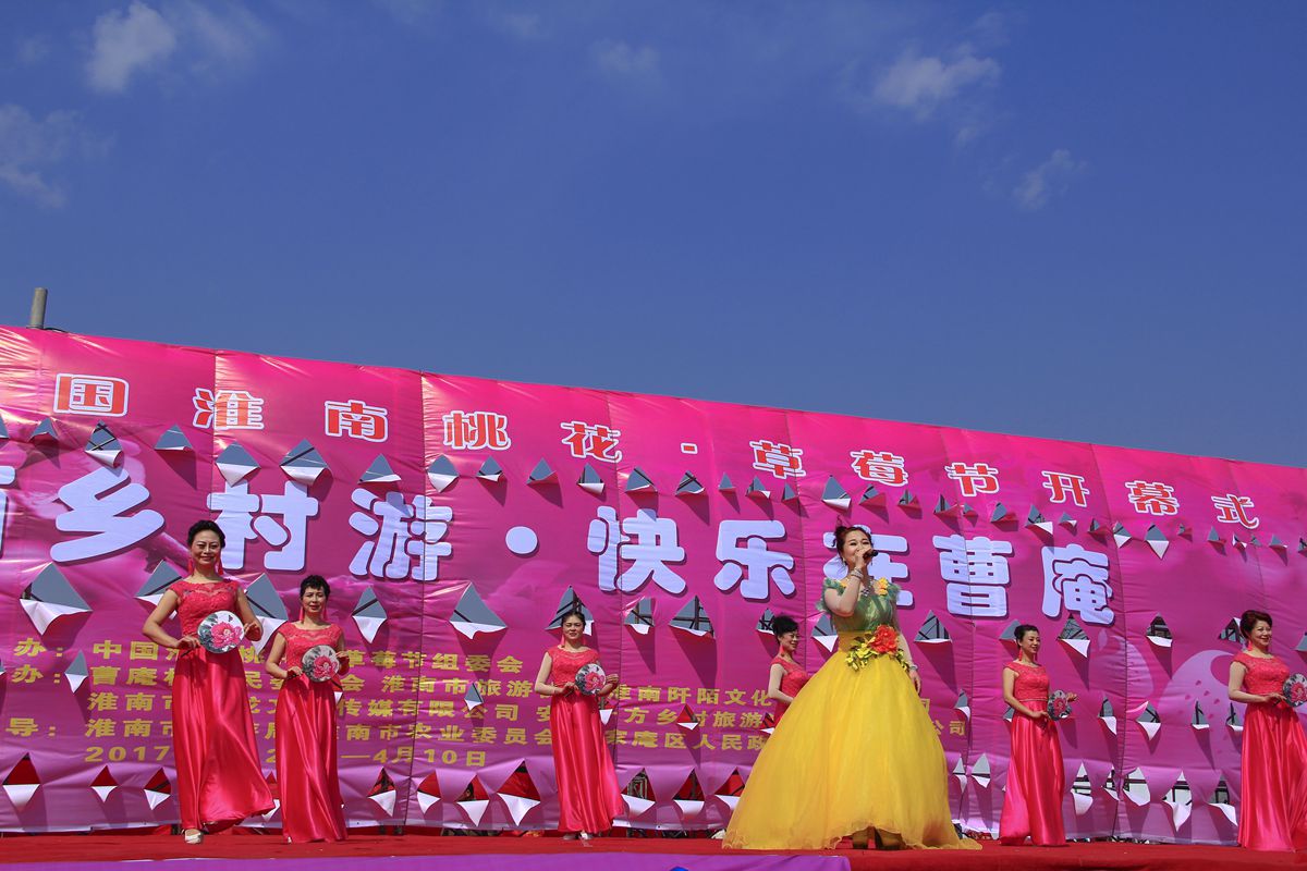 第十界中國淮南桃花,草莓節(jié)。大型活動在曹俺鎮(zhèn)隆重開幕