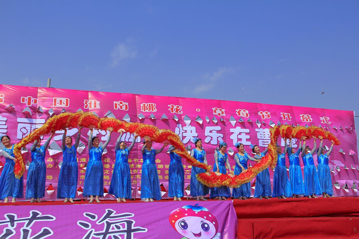 第十界中國淮南桃花,草莓節(jié)。大型活動在曹俺鎮(zhèn)隆重開幕
