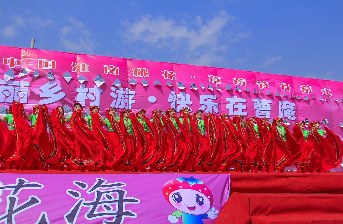 第十界中國淮南桃花,草莓節(jié)。大型活動在曹俺鎮(zhèn)隆重開幕