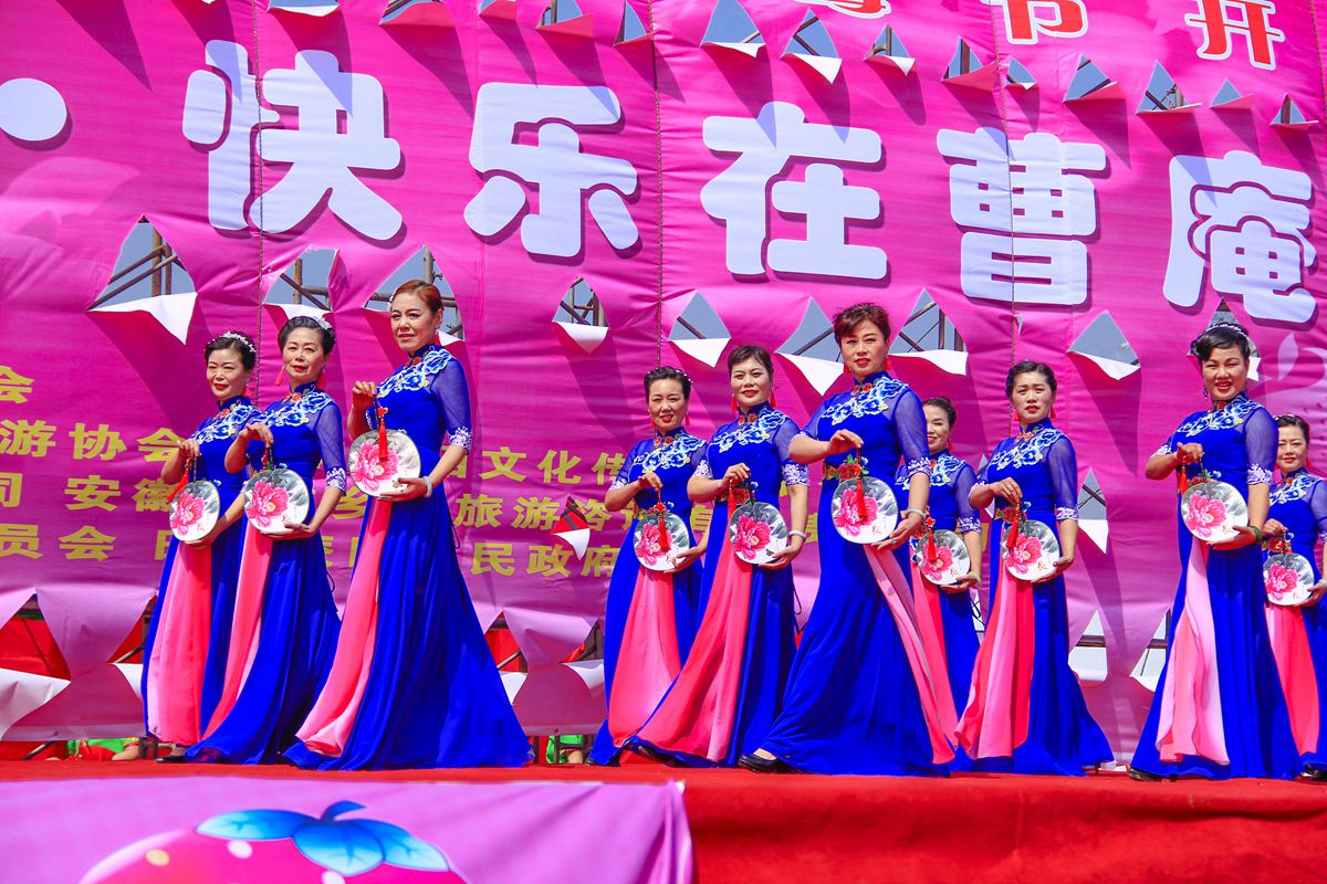 第十界中國淮南桃花,草莓節(jié)。大型活動在曹俺鎮(zhèn)隆重開幕