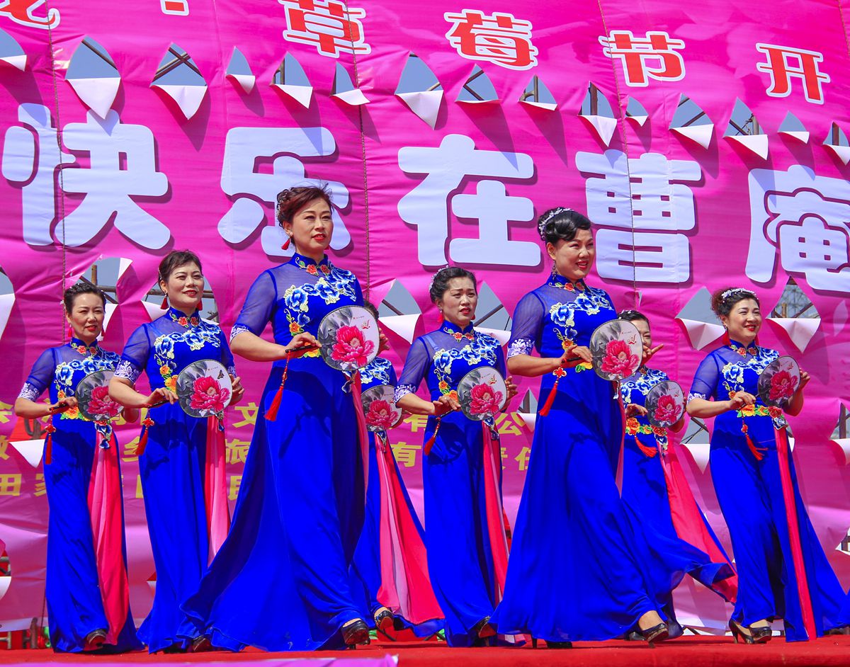 第十界中國淮南桃花,草莓節(jié)。大型活動在曹俺鎮(zhèn)隆重開幕