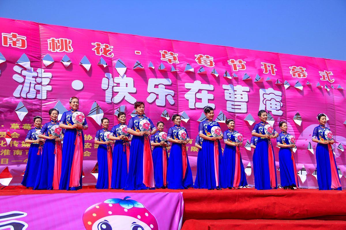 第十界中國淮南桃花,草莓節(jié)。大型活動在曹俺鎮(zhèn)隆重開幕
