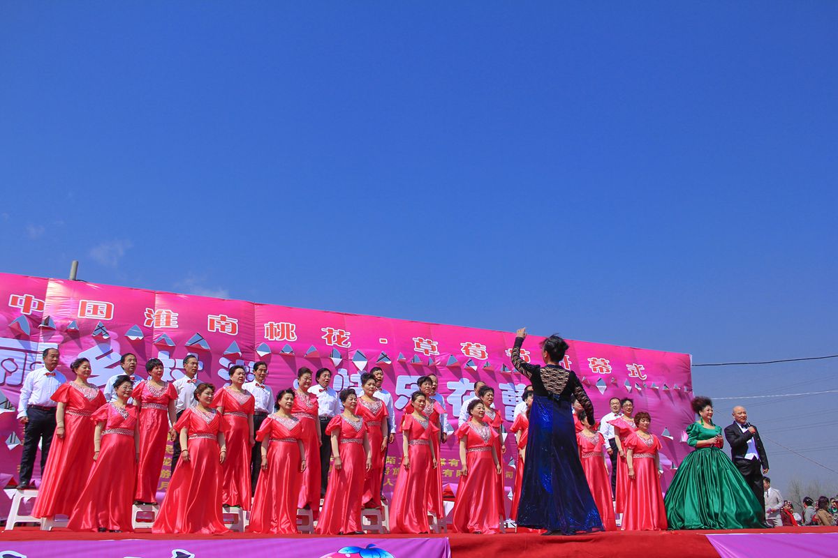 第十界中國淮南桃花,草莓節(jié)。大型活動在曹俺鎮(zhèn)隆重開幕
