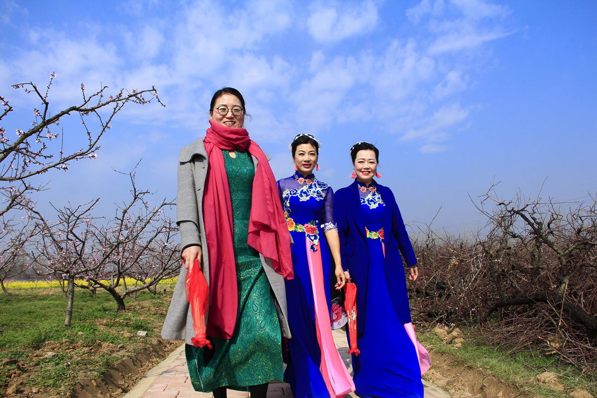 第十界中國淮南桃花,草莓節(jié)。大型活動在曹俺鎮(zhèn)隆重開幕