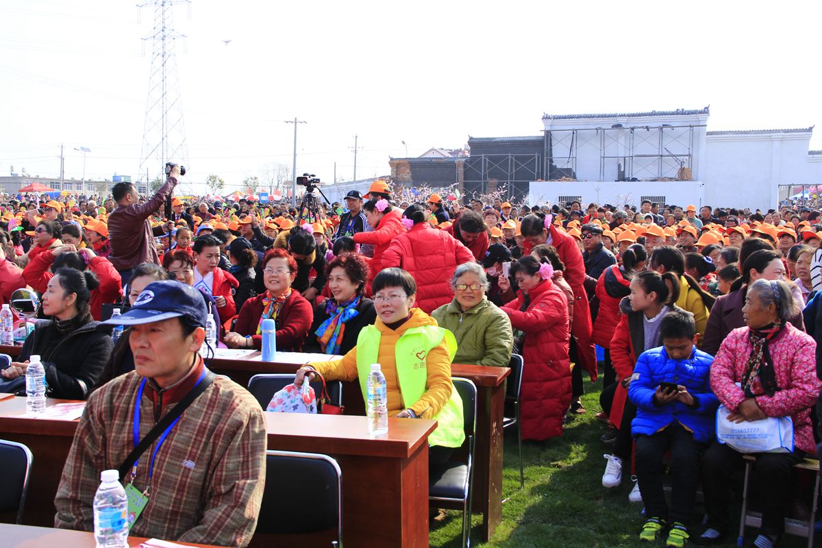 第十界中國淮南桃花,草莓節(jié)。大型活動在曹俺鎮(zhèn)隆重開幕