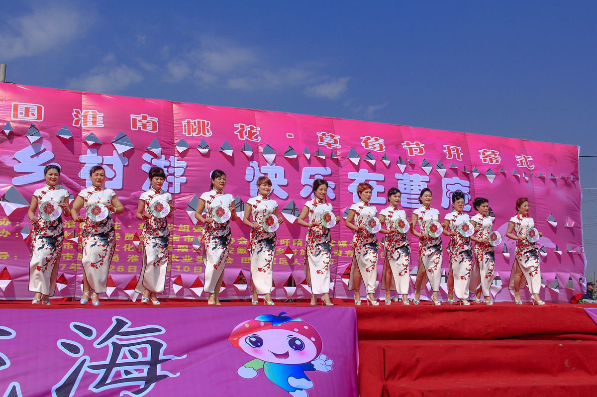 第十界中國淮南桃花,草莓節(jié)。大型活動在曹俺鎮(zhèn)隆重開幕