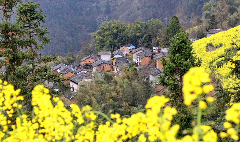 人民網(wǎng)主頁焦點圖:皖南三月風(fēng)光美